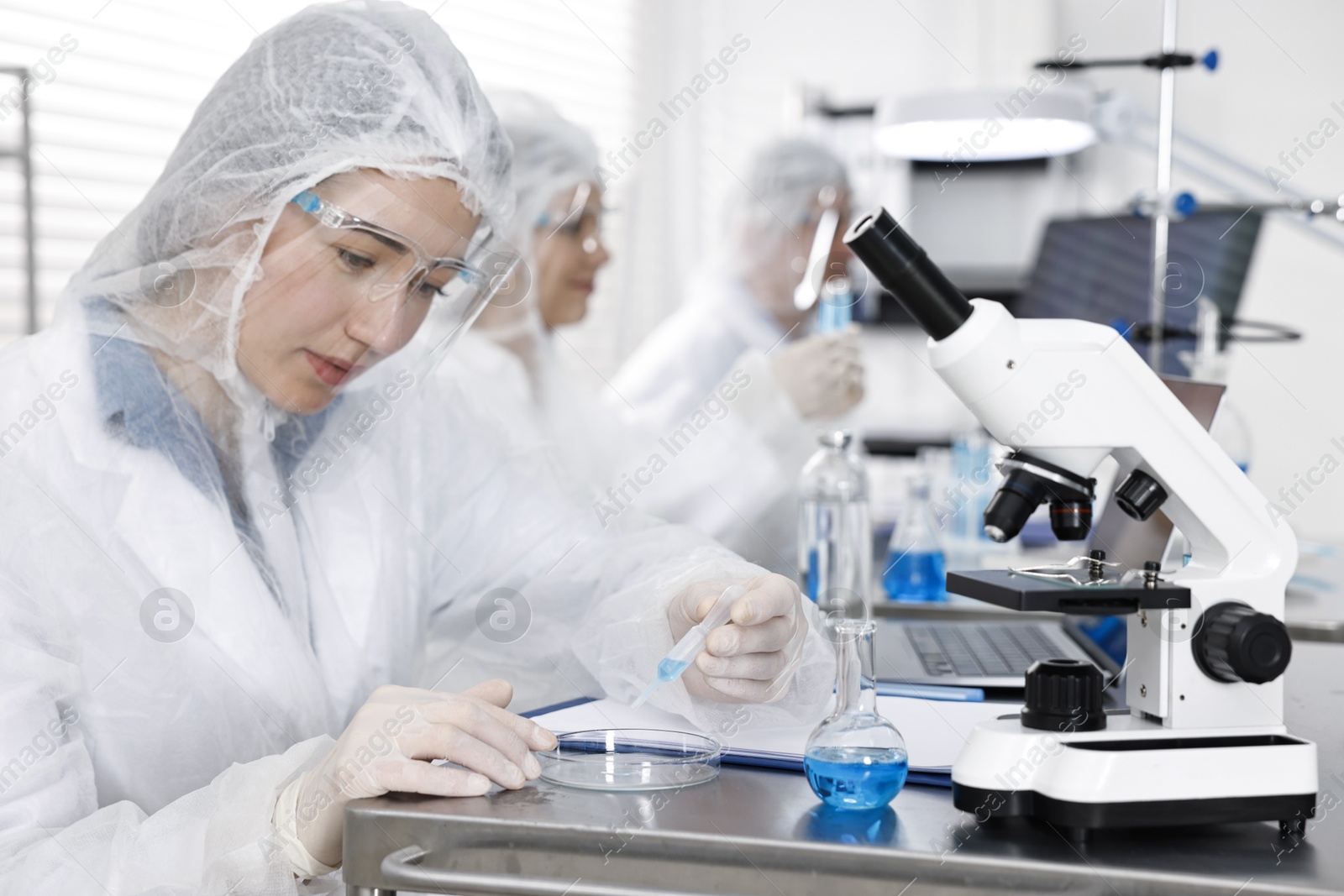 Photo of Scientist dripping sample into Petri dish at table in laboratory