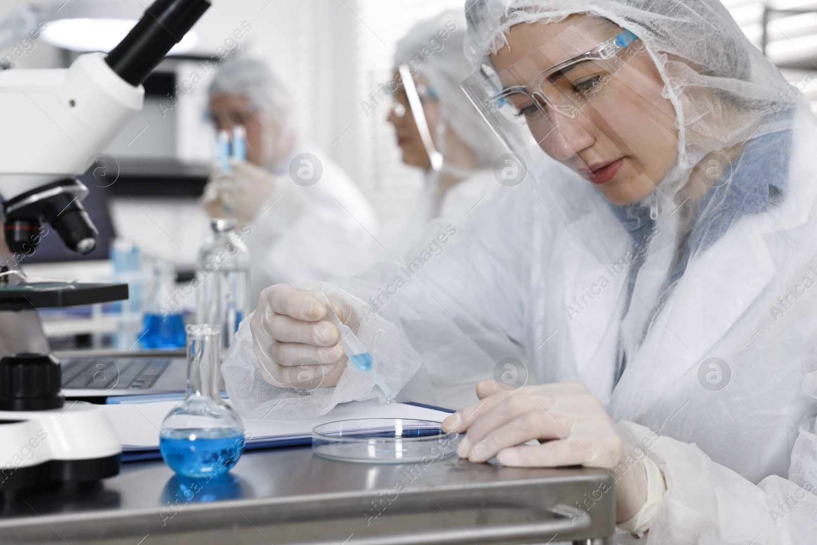 Photo of Scientist dripping sample into Petri dish at table in laboratory, closeup