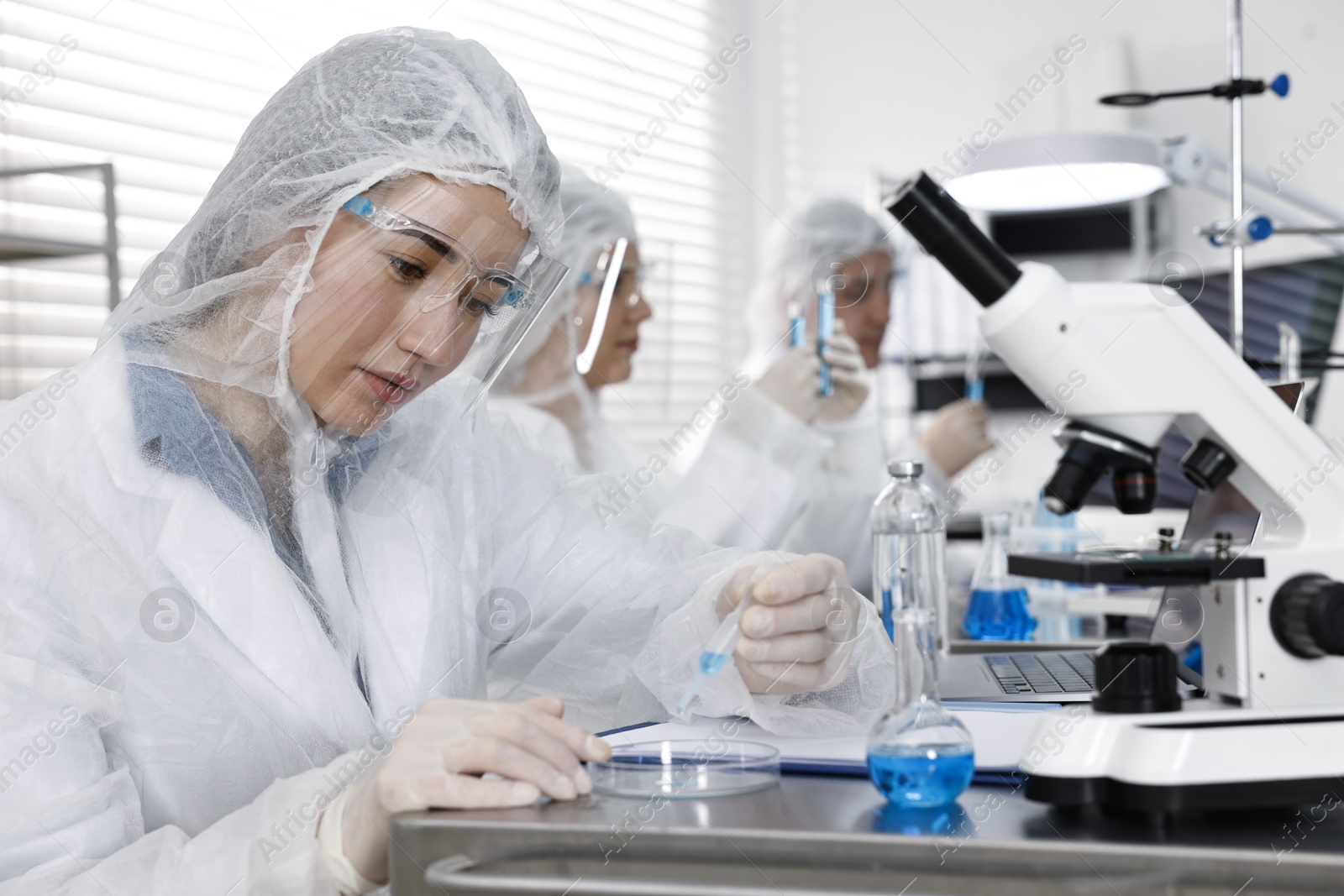 Photo of Scientist dripping sample into Petri dish at table in laboratory