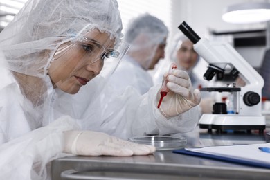 Photo of Scientist dripping blood sample onto Petri dish at table in laboratory, closeup