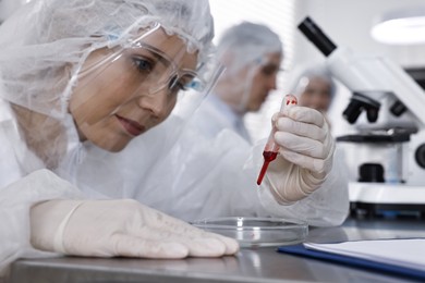 Scientist dripping blood sample onto Petri dish at table in laboratory, closeup