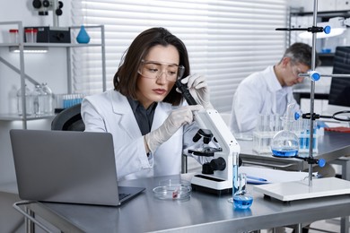 Photo of Scientist with microscope and laptop working at table in laboratory