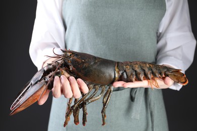 Photo of Woman with raw lobster on black background, closeup