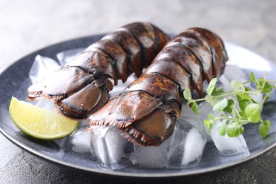 Photo of Raw lobster tails with microgreens, lime and ice on table, closeup