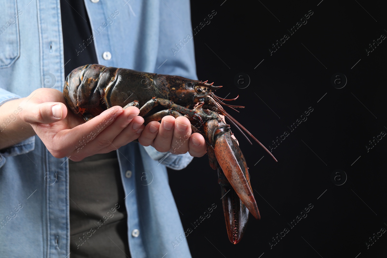 Photo of Man with raw lobster on black background, closeup. Space for text