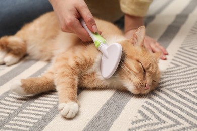 Photo of Woman brushing cat's hair on floor, closeup. Pet grooming