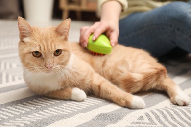 Photo of Woman brushing cat's hair on floor at home, closeup. Pet grooming