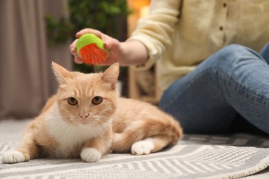 Photo of Woman brushing cat's hair on floor at home, closeup. Pet grooming