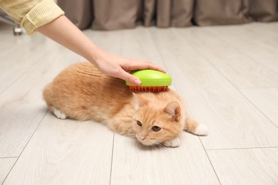 Photo of Woman brushing cat's hair on floor at home, closeup. Pet grooming