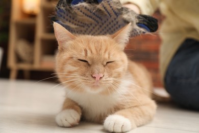 Photo of Woman brushing cat's hair with glove on floor at home, closeup. Pet grooming