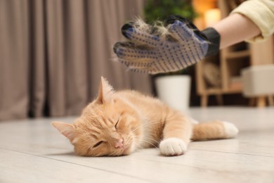 Photo of Woman brushing cat's hair with glove on floor at home, closeup. Pet grooming