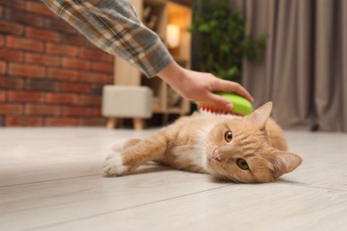 Photo of Woman brushing cat's hair on floor at home, closeup. Pet grooming