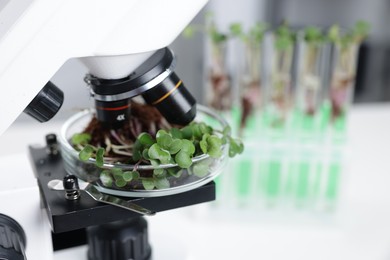 Photo of Biochemistry. Microscope with plant in Petri dish on white table in laboratory, closeup. Space for text