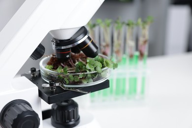 Photo of Biochemistry. Microscope with plant in Petri dish on white table in laboratory, closeup. Space for text