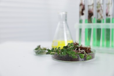 Photo of Biochemistry. Glassware with liquids and plants on white table in laboratory, closeup. Space for text