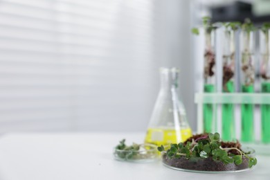 Photo of Biochemistry. Glassware with liquids and plants on white table in laboratory, closeup. Space for text