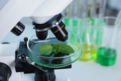 Photo of Biochemistry. Microscope with plant in Petri dish on white table in laboratory, closeup