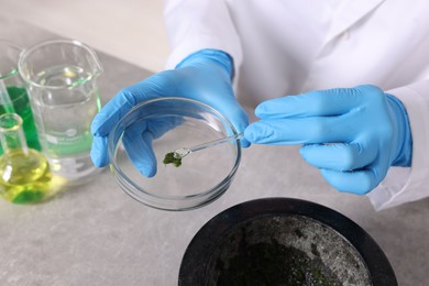 Photo of Biochemistry. Scientist working with plants and liquids at grey table, closeup