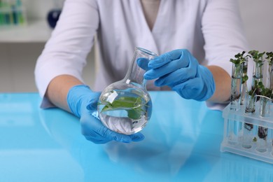 Photo of Biochemistry. Scientist working with plants and reagent at blue table, closeup