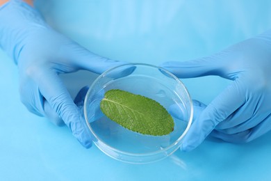 Photo of Biochemistry. Scientist working with plant at blue table, closeup