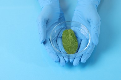 Photo of Biochemistry. Scientist working with plant at blue table, closeup