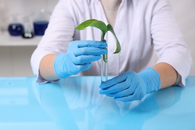 Photo of Biochemistry. Scientist working with plant at blue table in laboratory, closeup