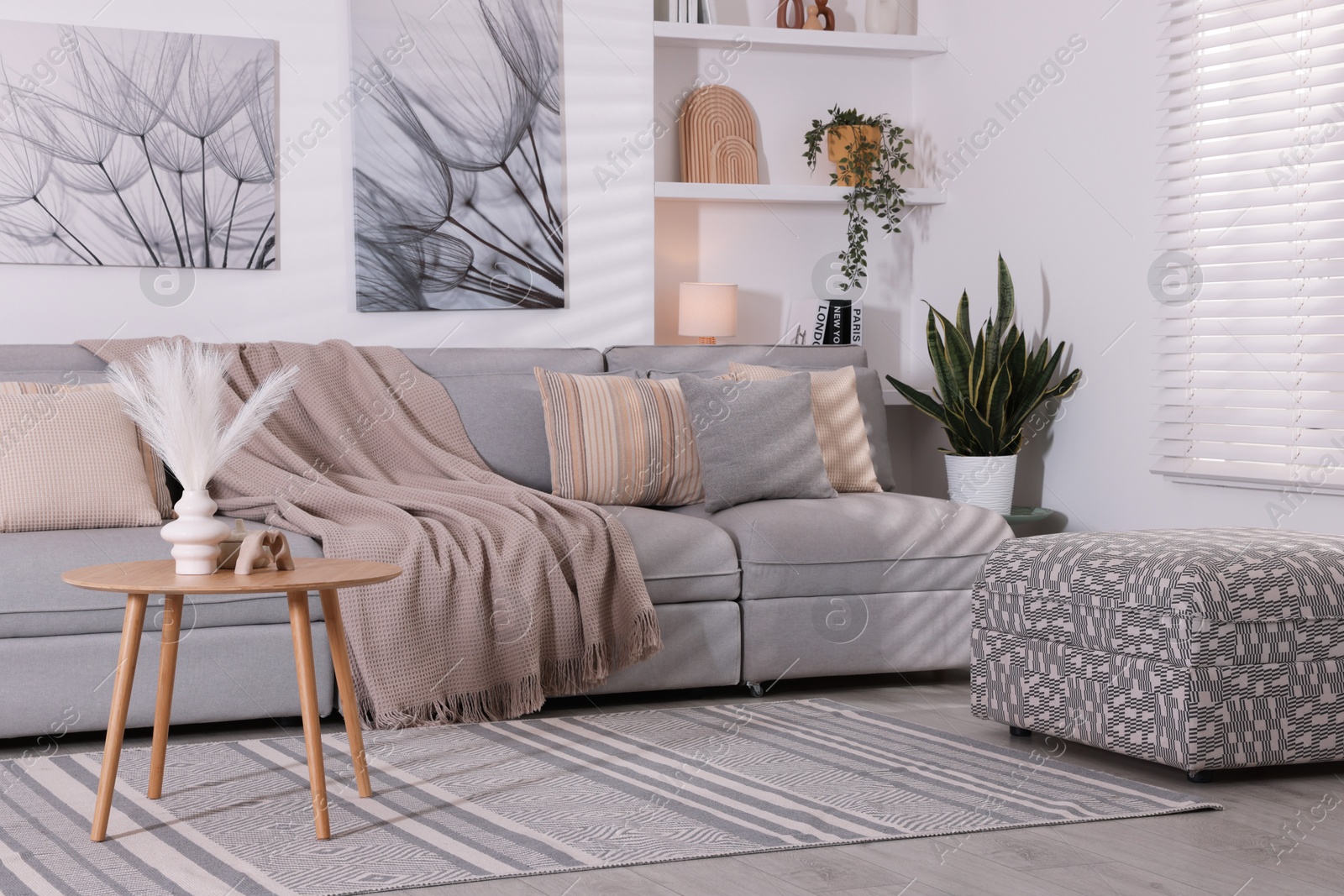 Photo of Comfortable sofa, houseplants and decorative elements in living room. Interior design