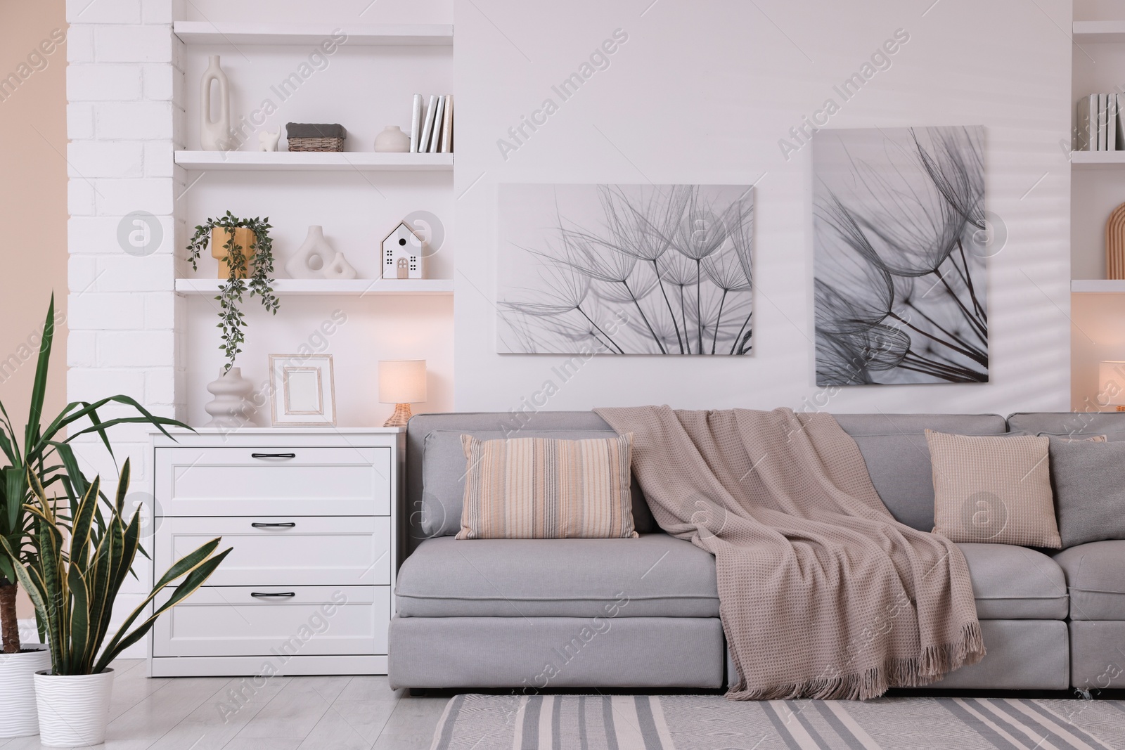 Photo of Comfortable sofa, houseplants and decorative elements in living room. Interior design