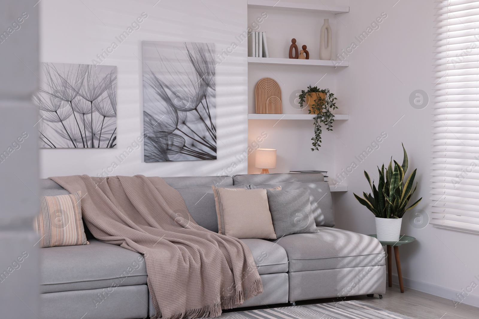 Photo of Comfortable sofa, houseplants and decorative elements in living room. Interior design