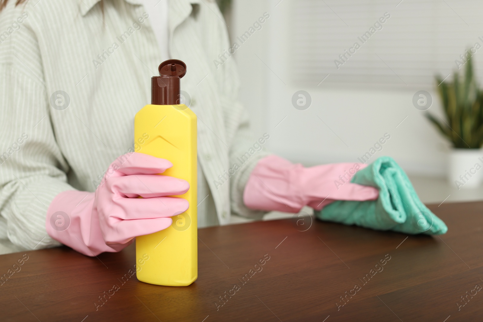 Photo of Woman polishing wooden table at home, closeup