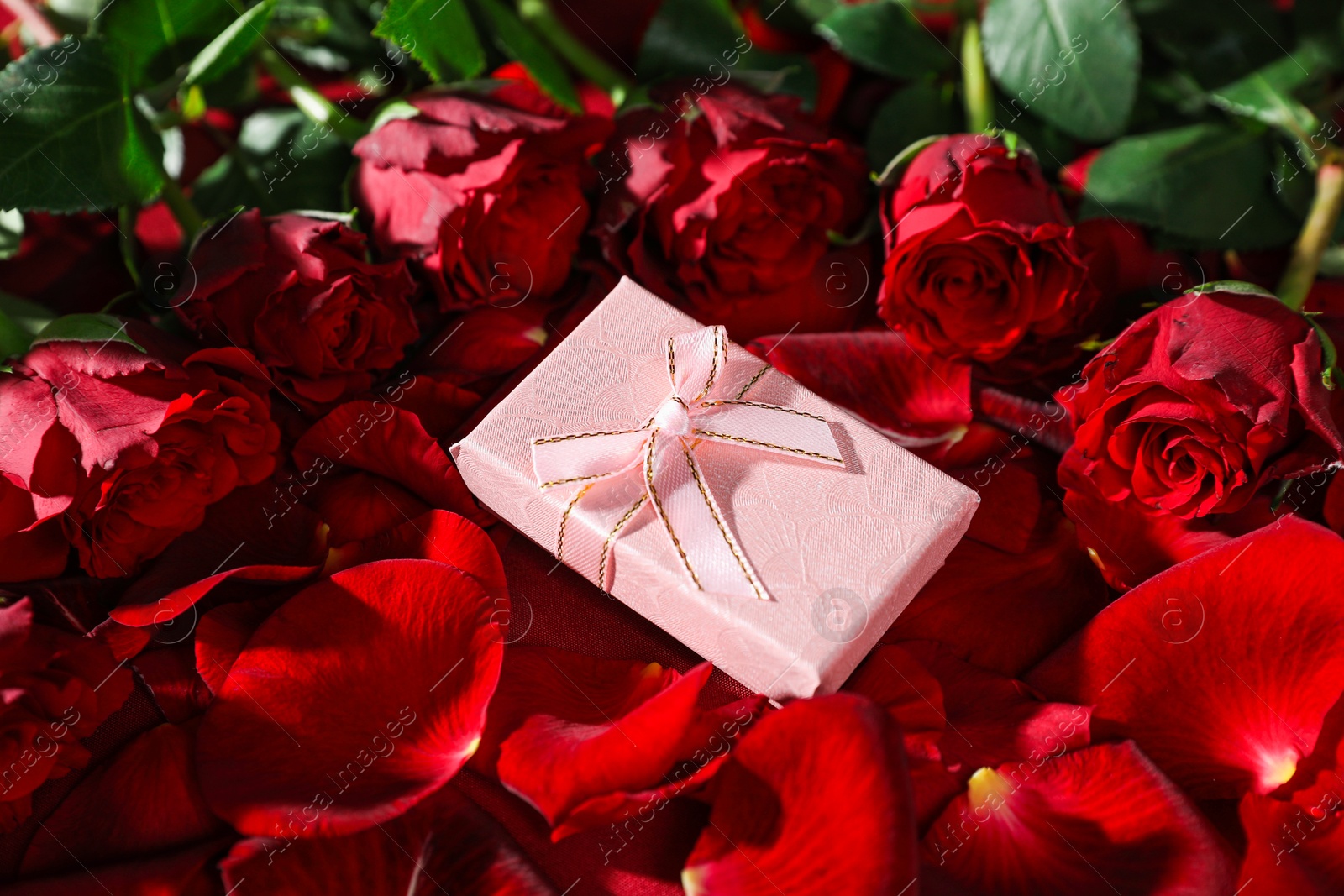 Photo of Beautiful gift box among rose flowers and petals, closeup. Romantic present