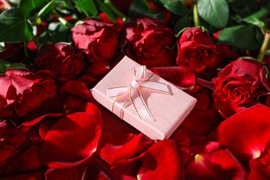 Beautiful gift box among rose flowers and petals, closeup. Romantic present