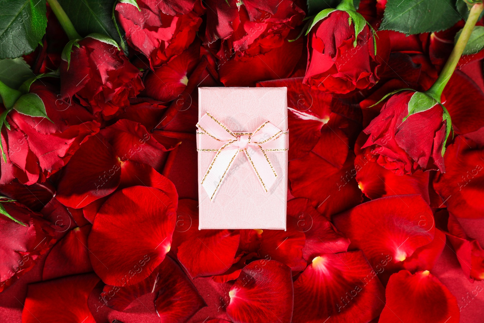 Photo of Beautiful gift box among rose flowers and petals, top view. Romantic present