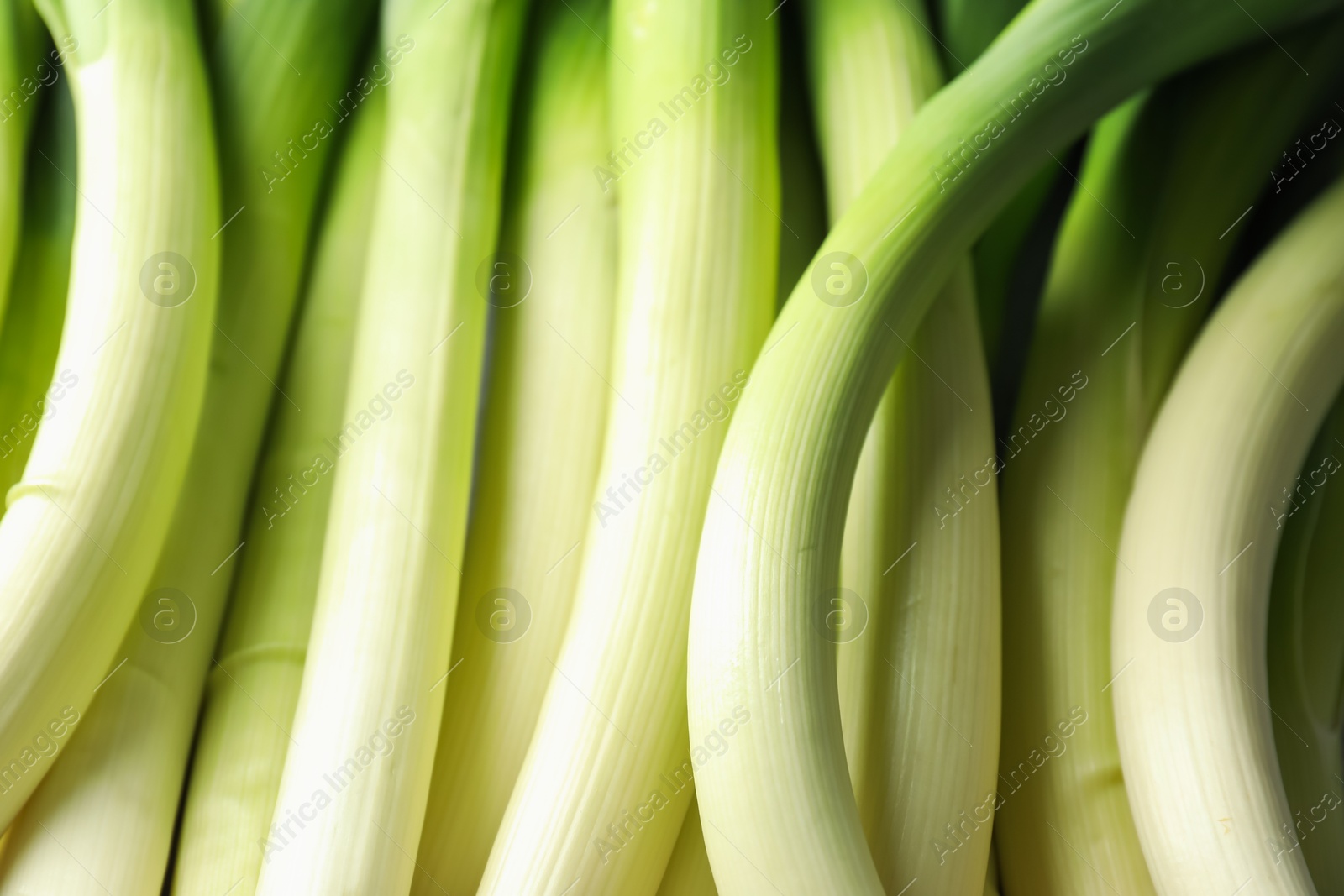 Photo of Fresh raw green leeks as background, closeup