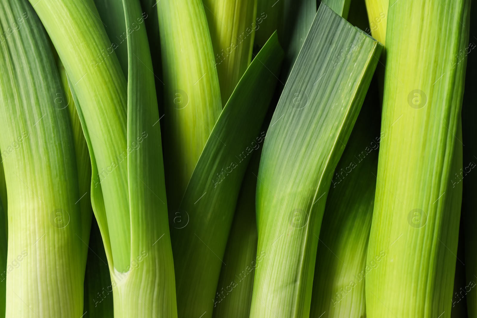 Photo of Fresh raw green leeks as background, top view