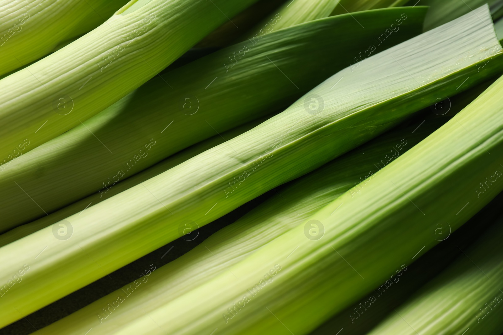 Photo of Fresh raw green leeks as background, top view