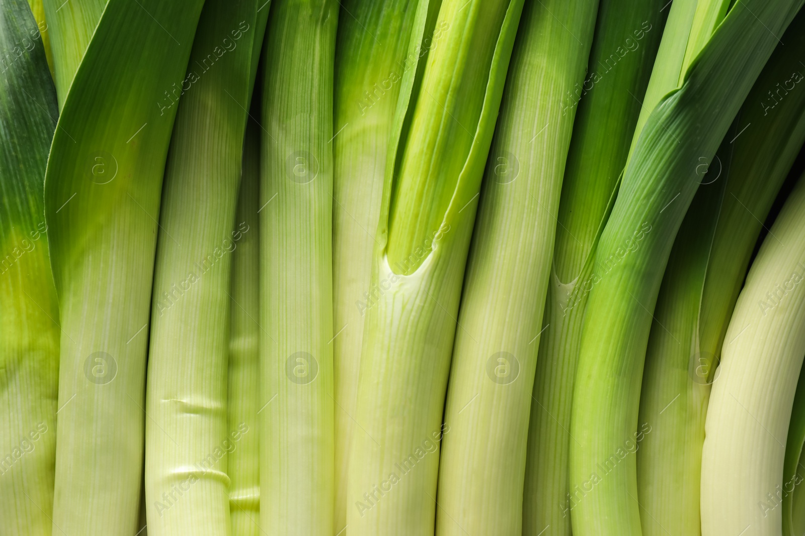 Photo of Fresh raw green leeks as background, top view