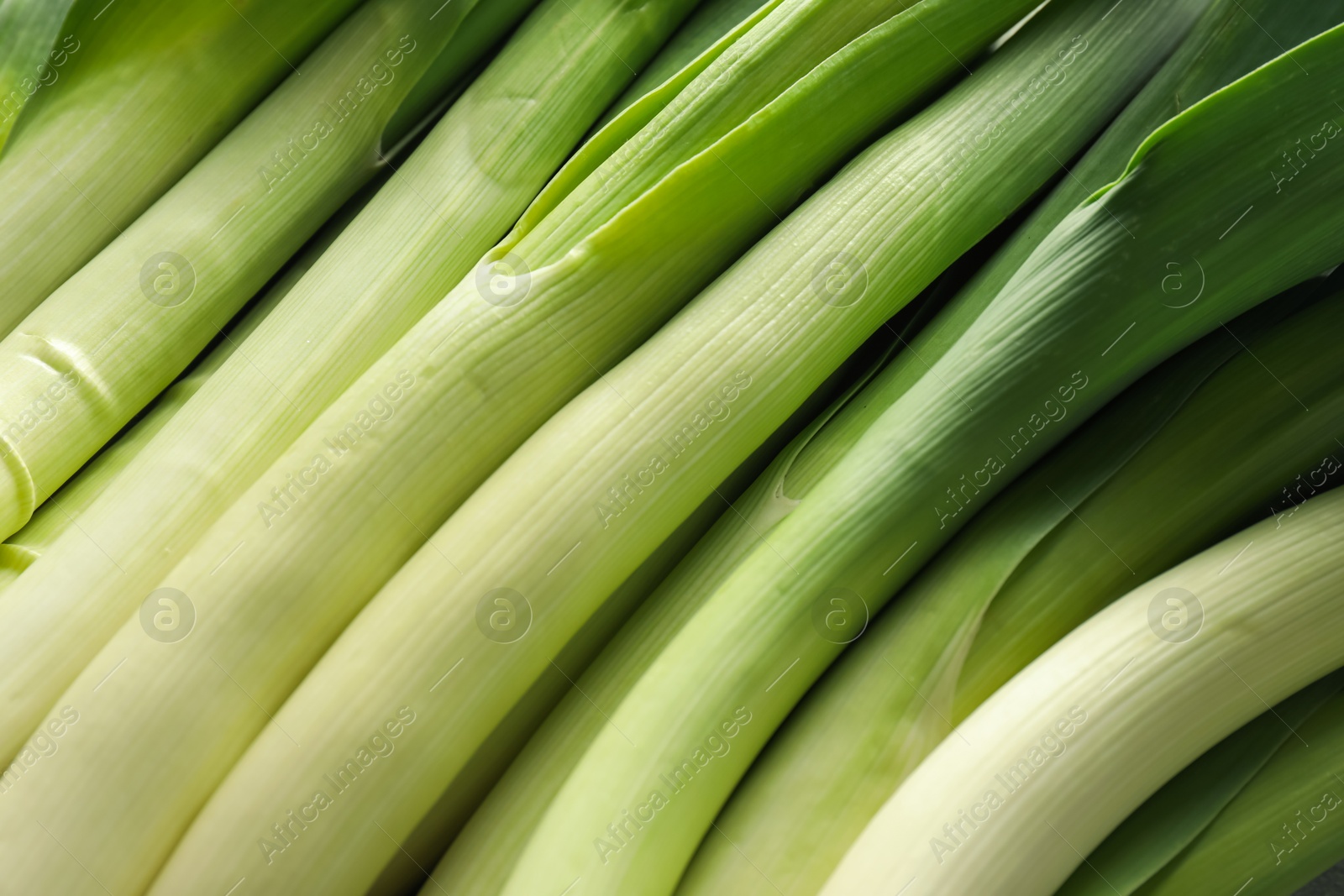 Photo of Fresh raw green leeks as background, top view