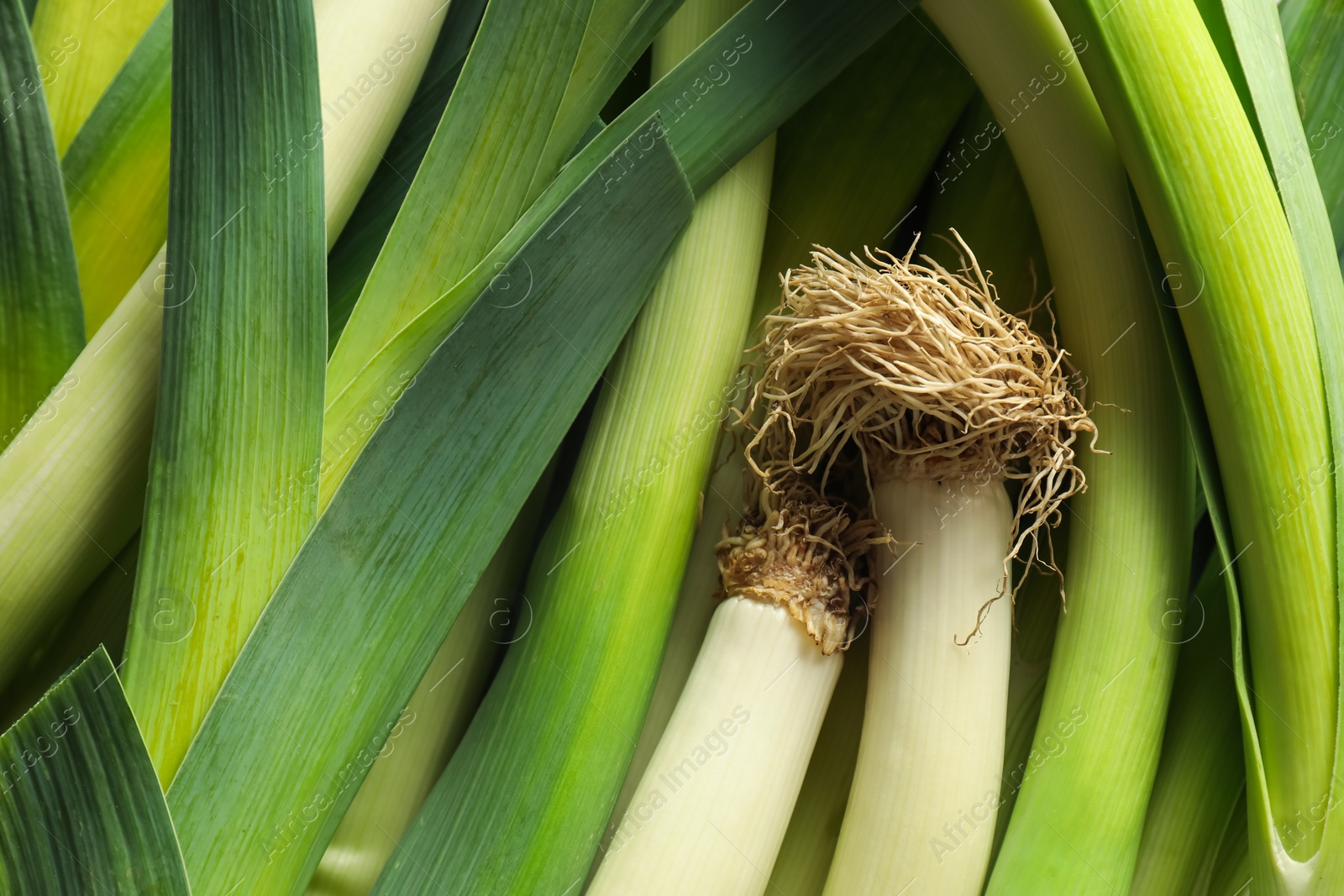 Photo of Fresh raw green leeks as background, top view