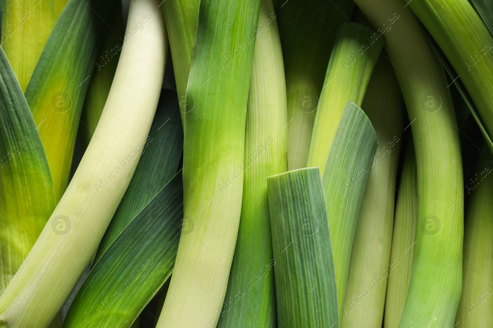 Photo of Fresh raw green leeks as background, top view