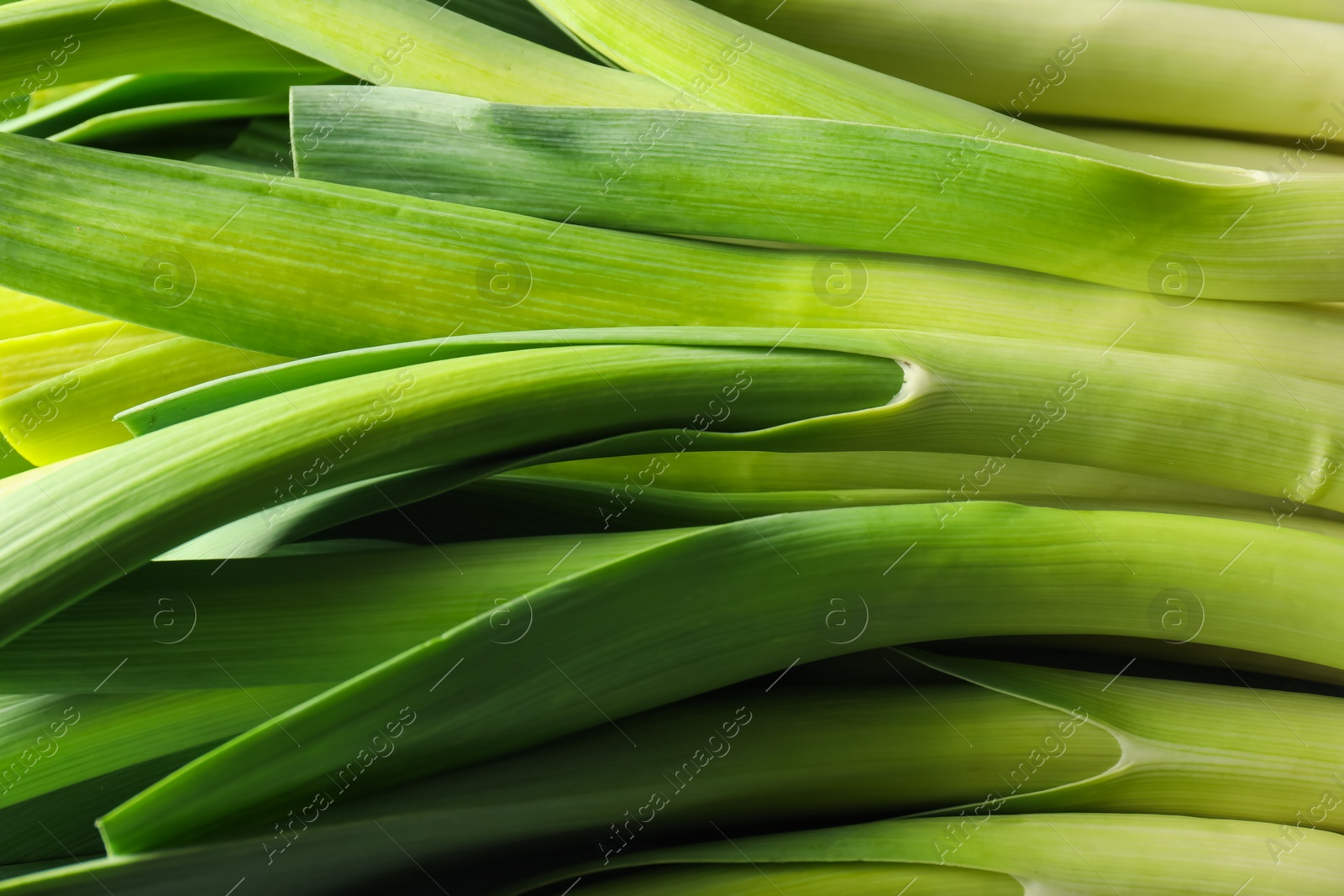 Photo of Fresh raw green leeks as background, closeup