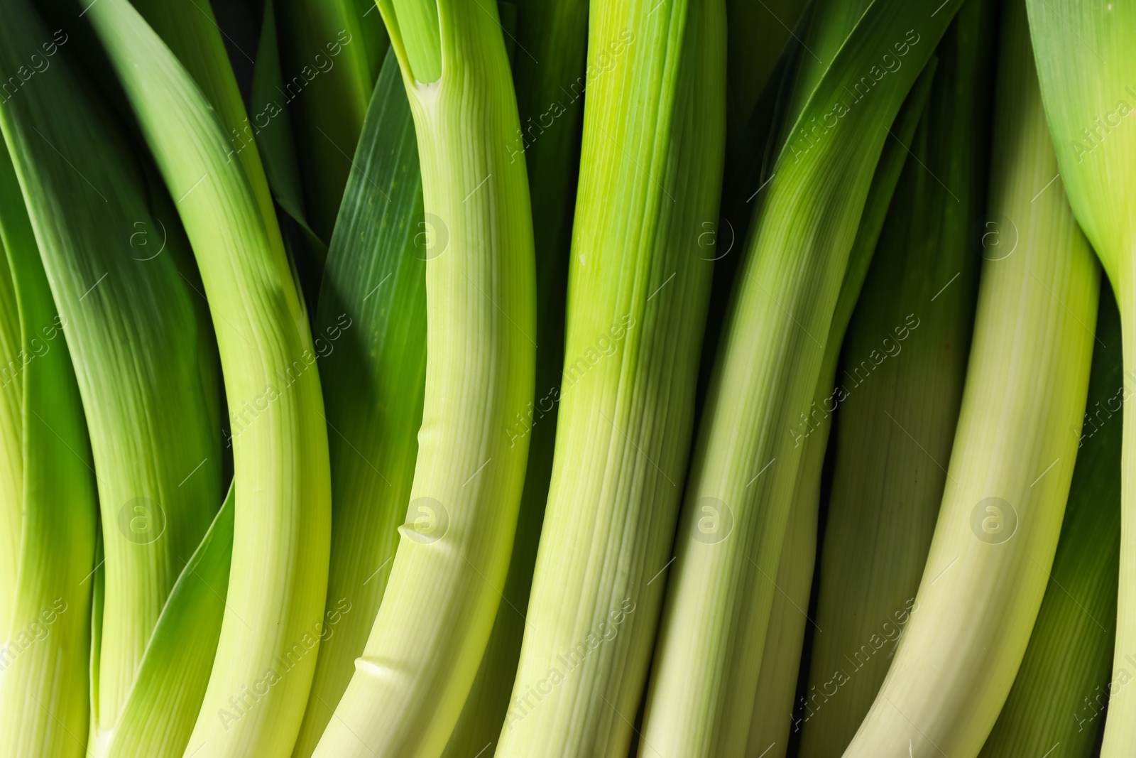 Photo of Fresh raw green leeks as background, top view