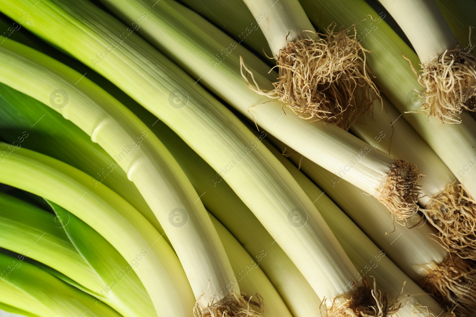 Photo of Fresh raw green leeks as background, top view