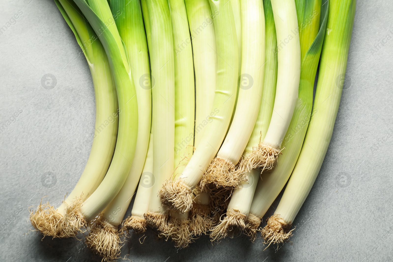 Photo of Fresh green leeks on light grey table, above view