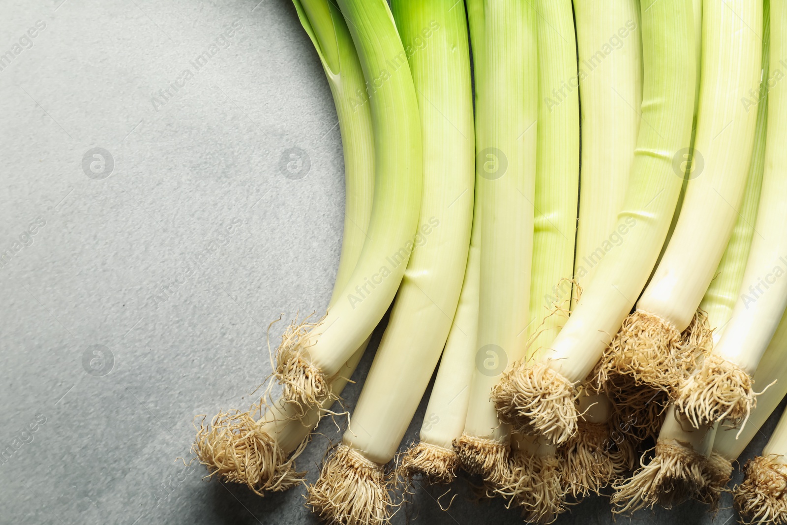 Photo of Fresh green leeks on light grey table, top view. Space for text