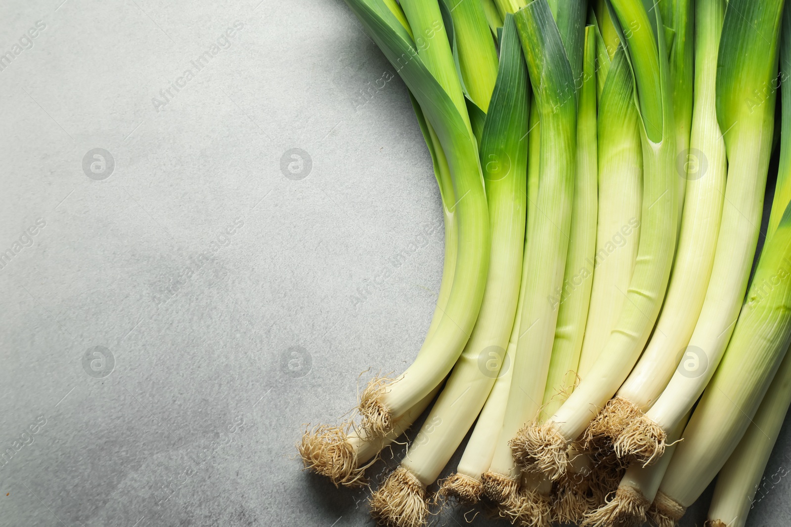 Photo of Fresh green leeks on light grey table, top view. Space for text