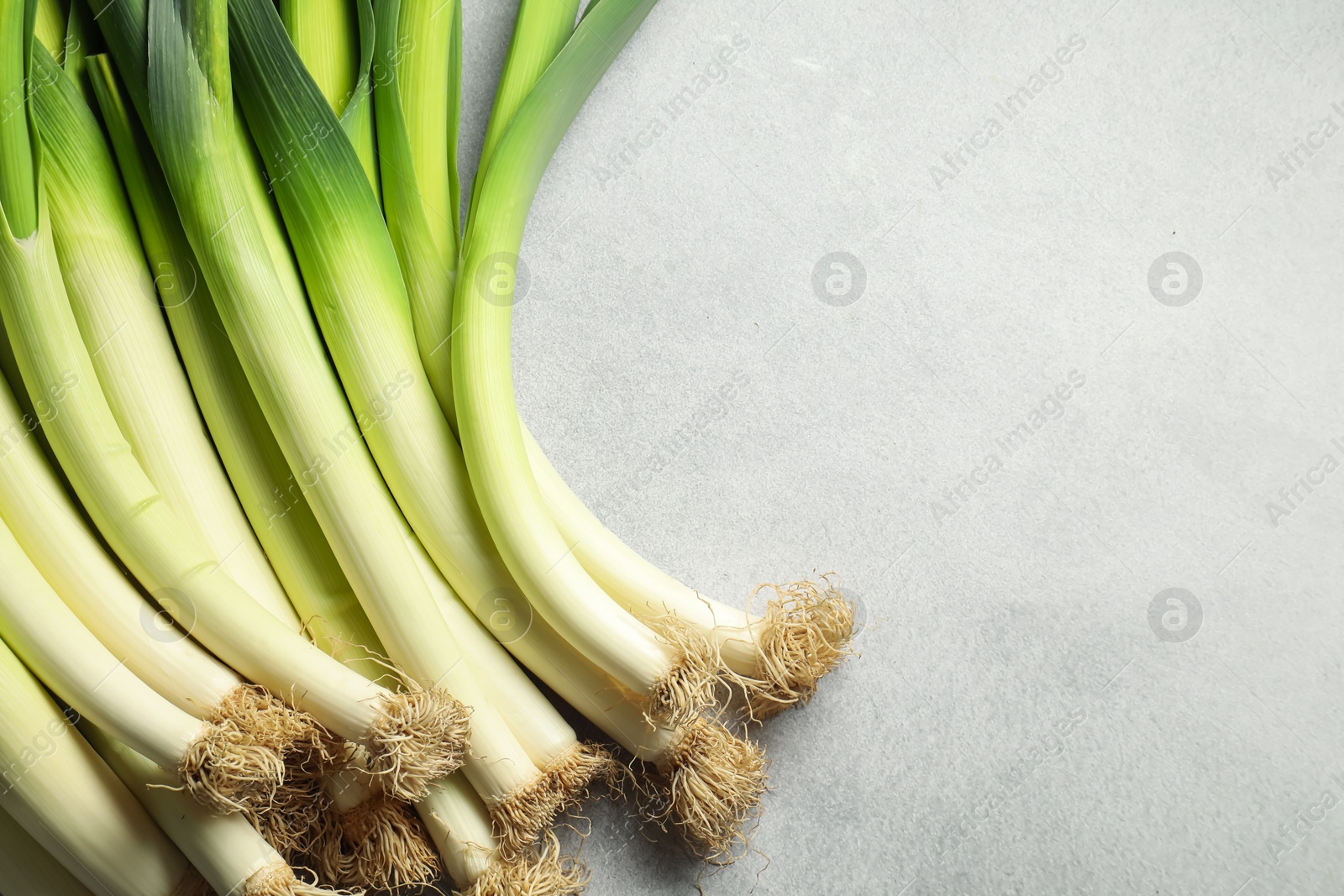 Photo of Fresh green leeks on light grey table, top view. Space for text