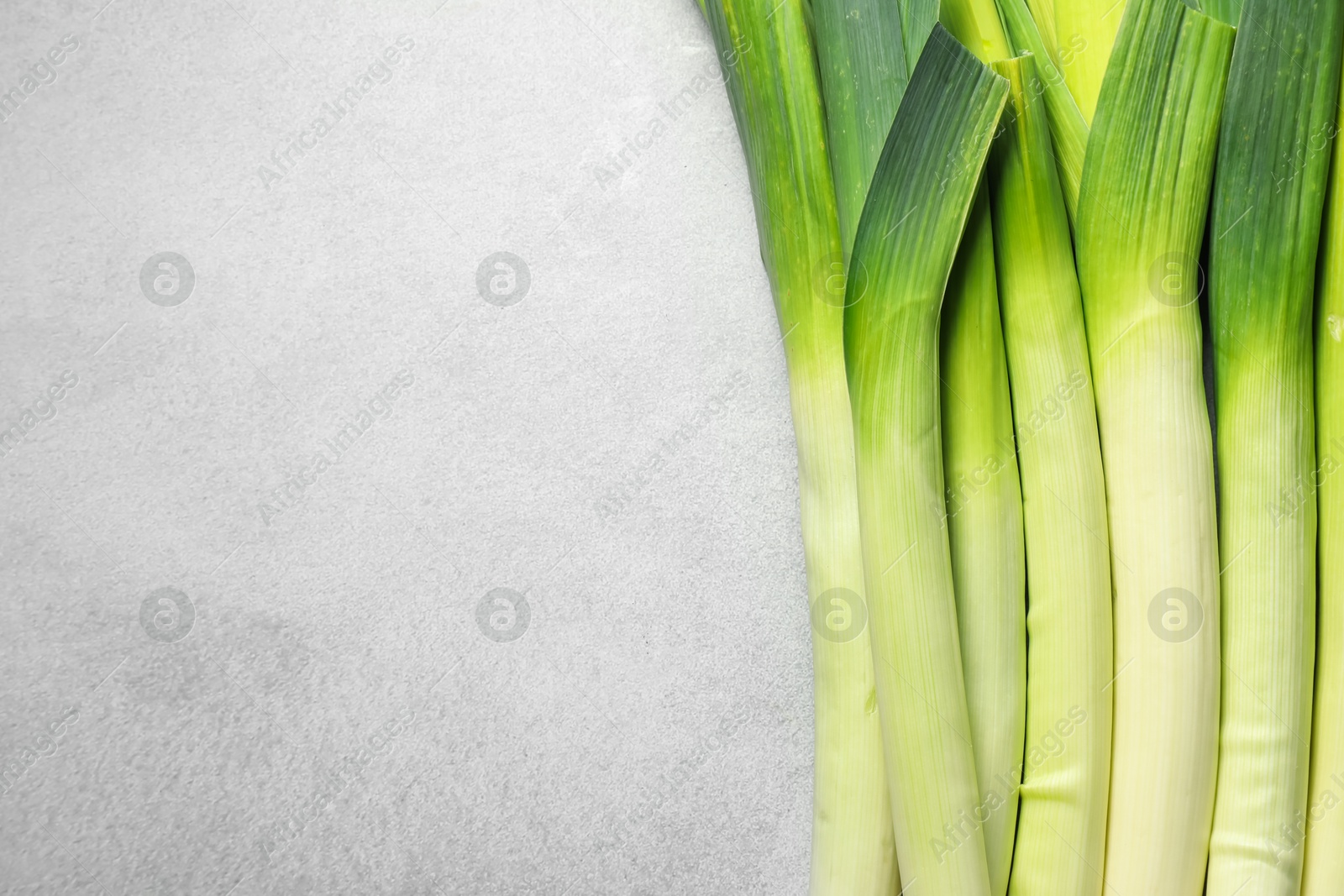 Photo of Fresh green leeks on light grey table, top view. Space for text