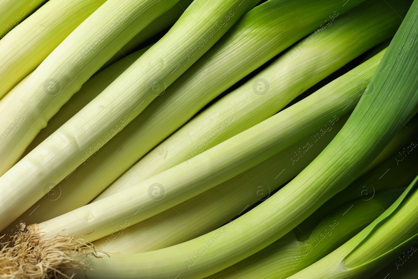 Photo of Fresh raw green leeks as background, top view