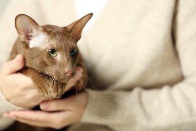 Photo of Woman with cute Oriental Shorthair cat at home, closeup. Adorable pet